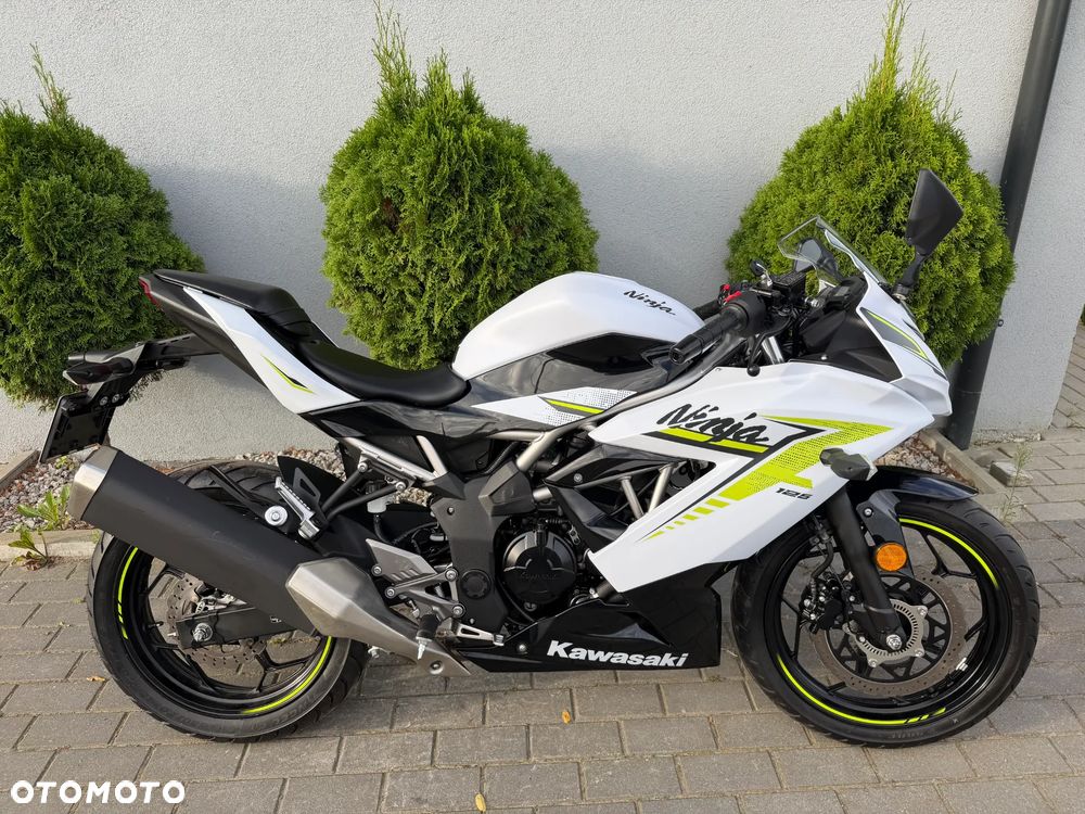 Kawasaki Ninja - 27