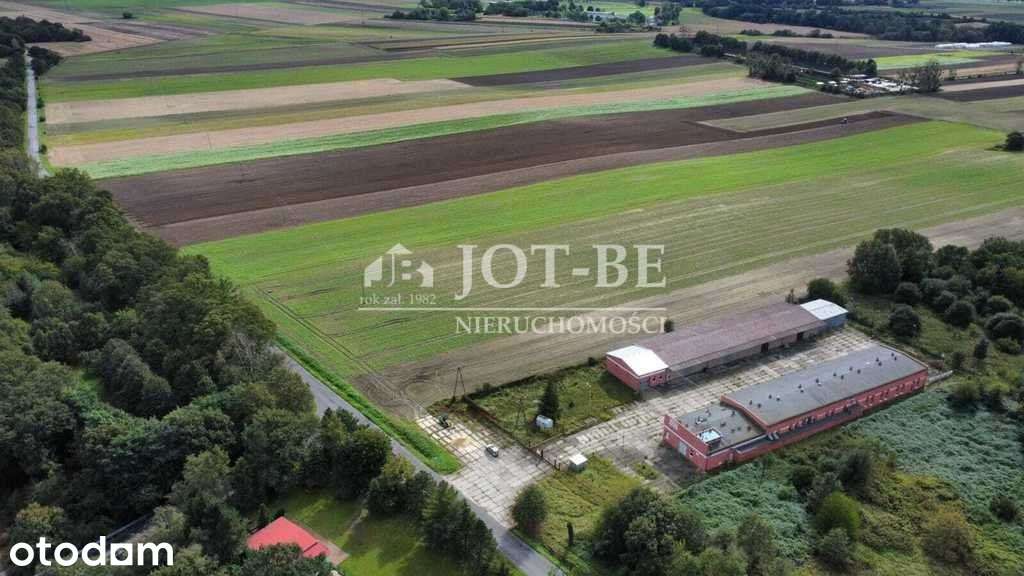 Gotowa Hala i magazyn 2300mkw z działką 8600m2 - Pełny obrazek: 5/20