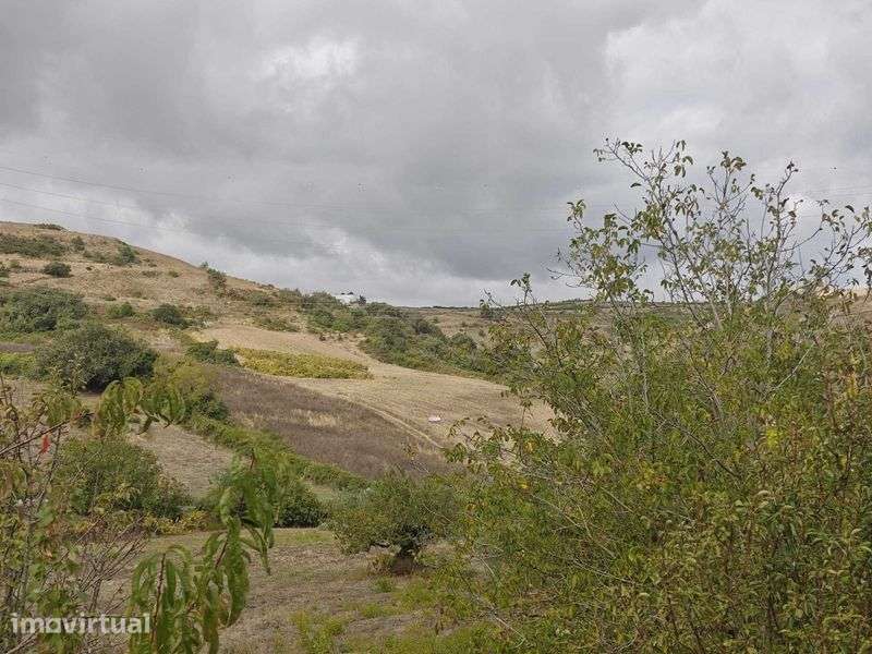 Terreno com 2 hectares - Grande imagem: 2/4
