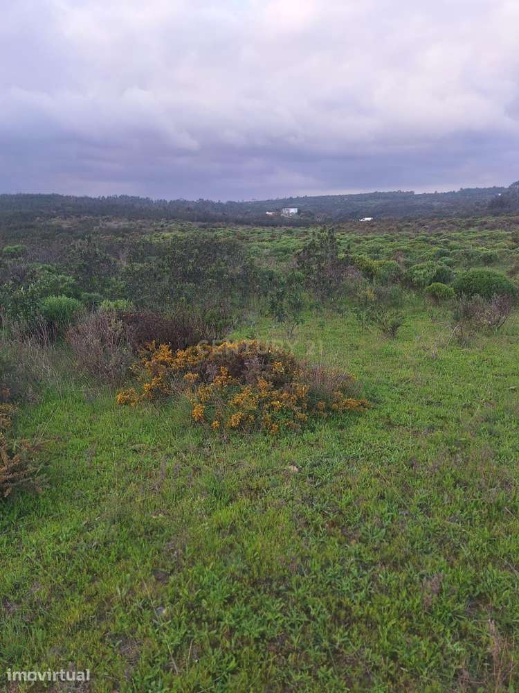 33,6 Hectares de Natureza na Costa Vicentina | Privacidade Absoluta a - Grande imagem: 3/21