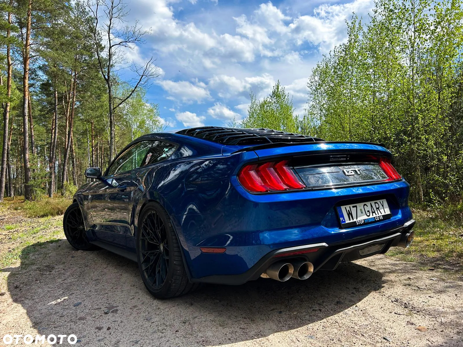 Ford Mustang Fastback 5.0 Ti-VCT V8 MACH1 - 17