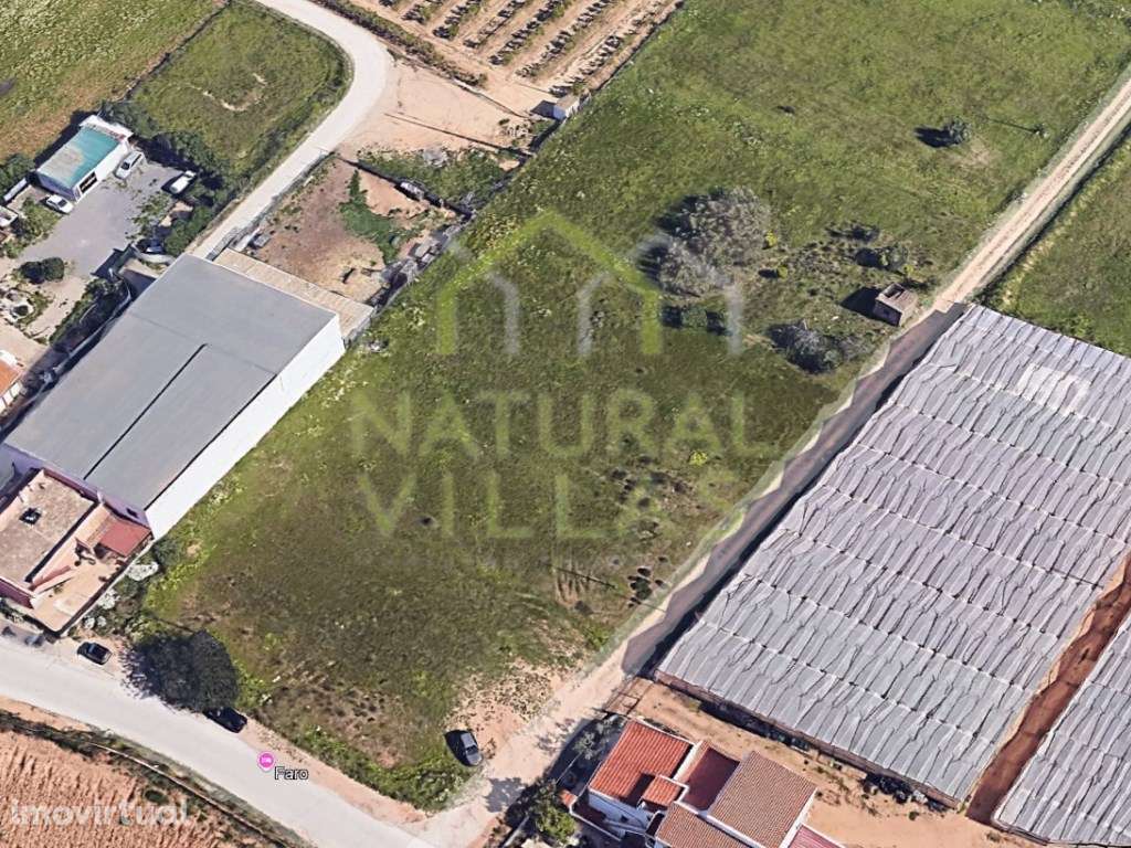 Terreno totalmente plano a 3km da Cidade de Faro - Grande imagem: 4/4