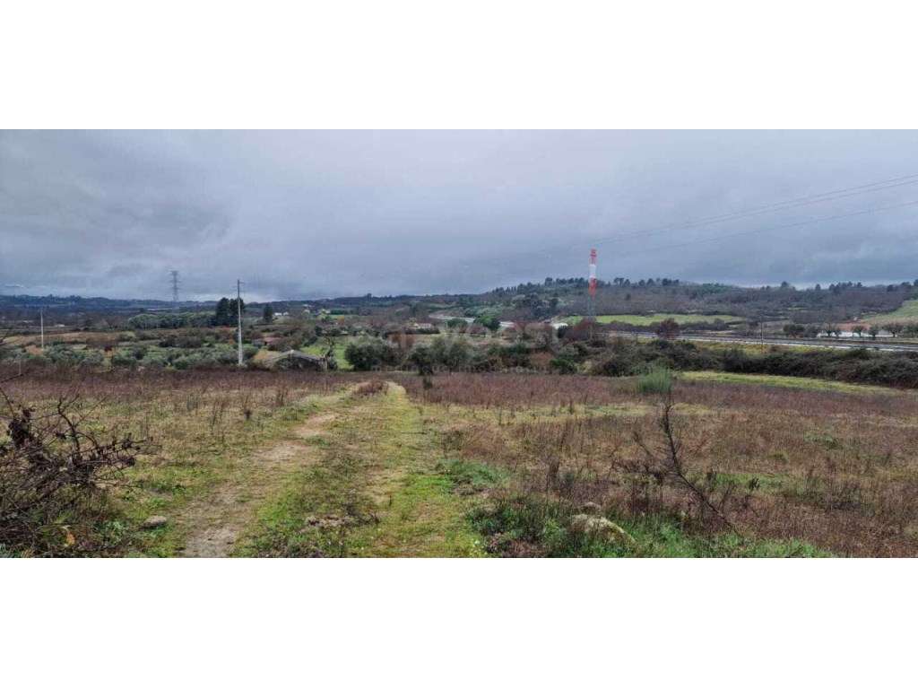 Terreno Rustico - 13 Hectares - Grande imagem: 3/16