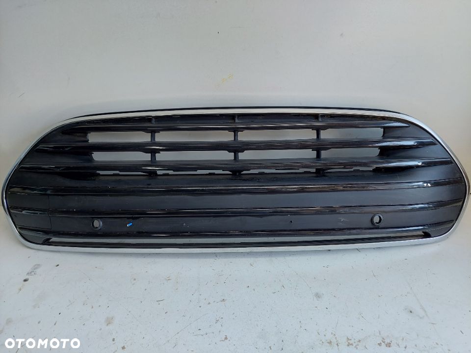 Mini Cooper atrapa grill - 1