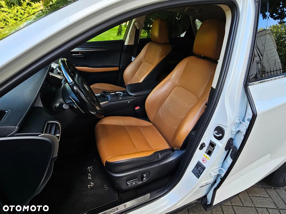 Lexus NX - 11