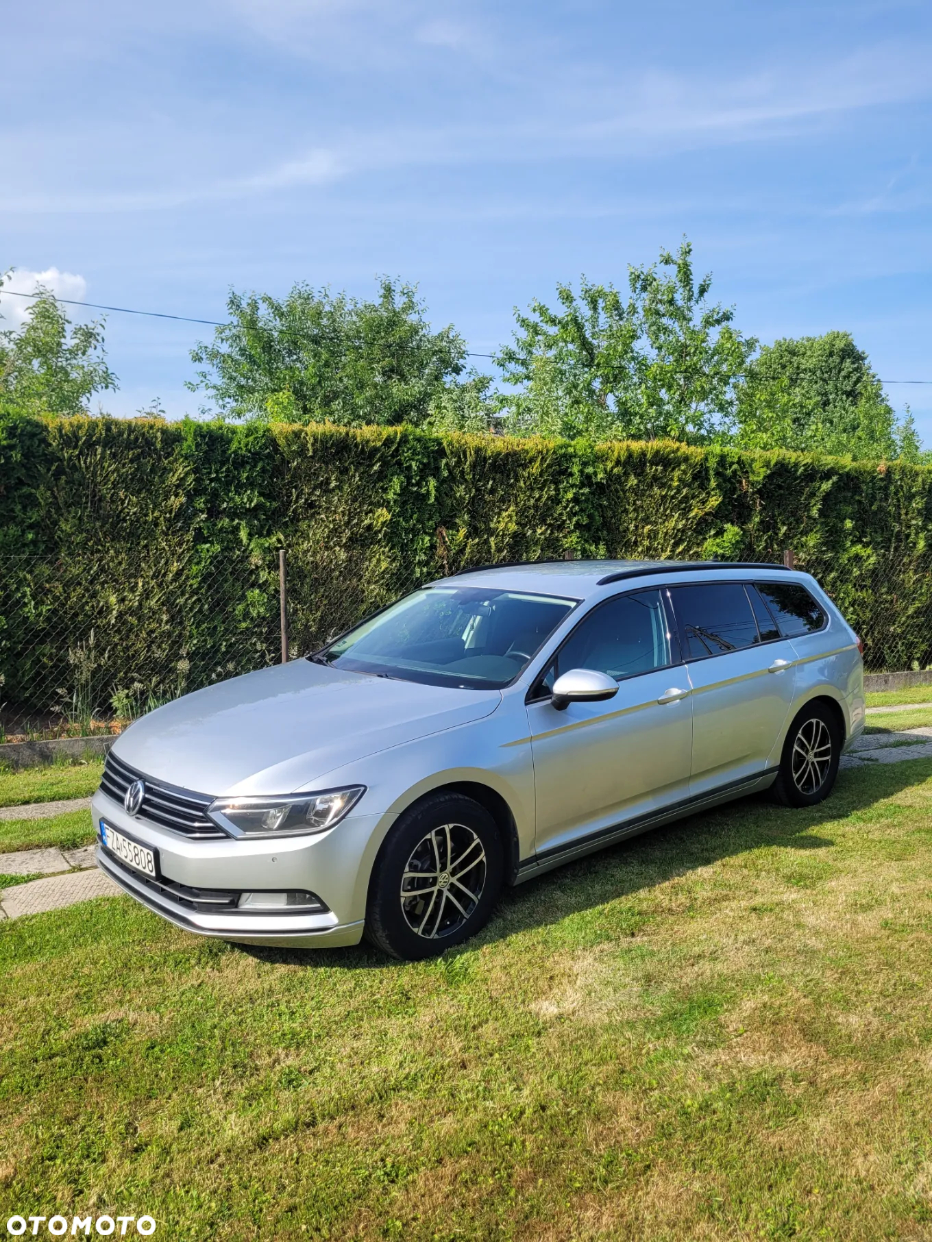 Volkswagen Passat - 3