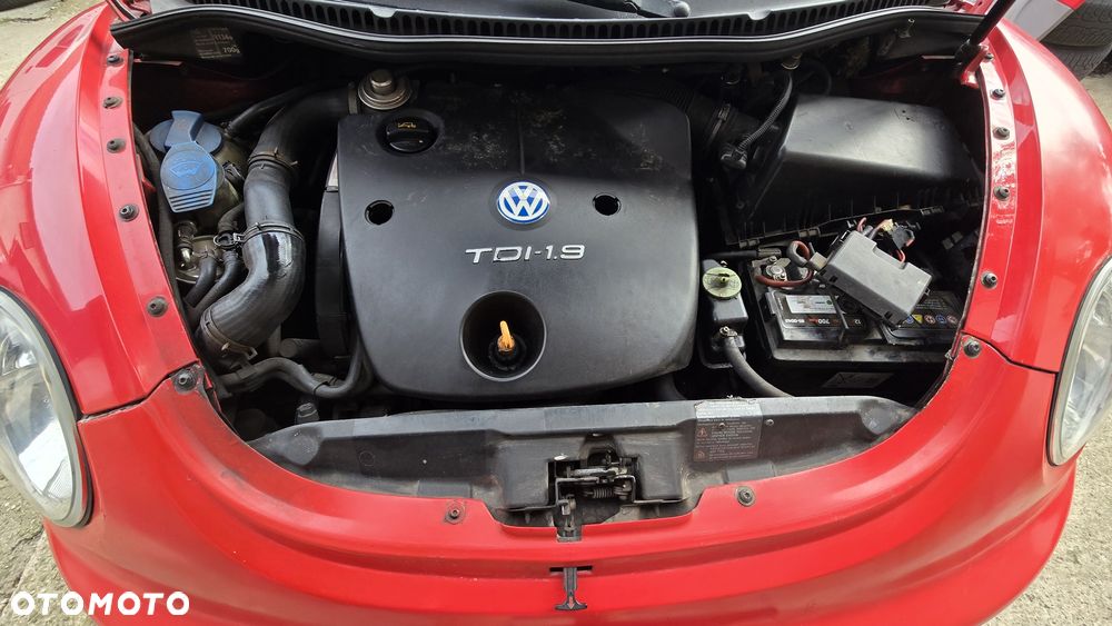 Volkswagen Beetle - 8