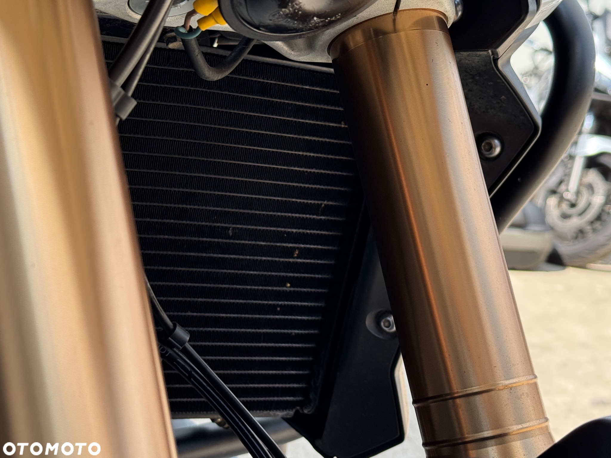 Triumph Tiger - 29