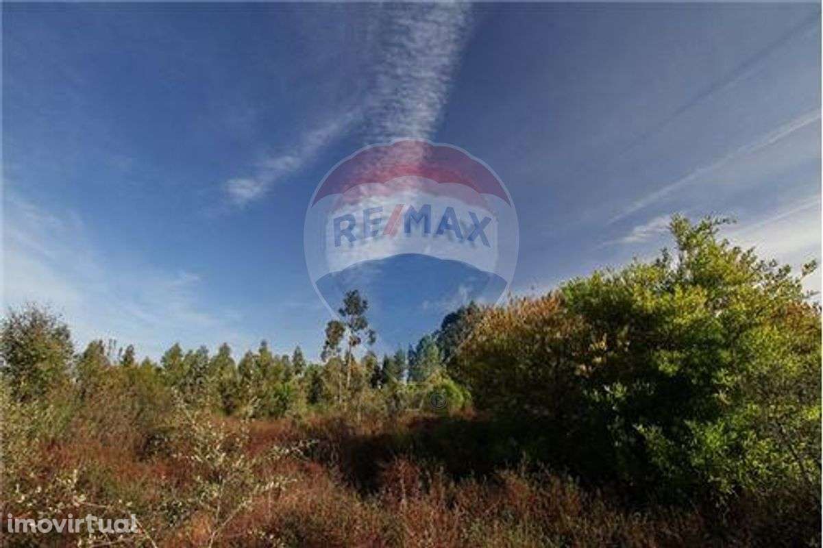 Terreno  para venda - Grande imagem: 2/5