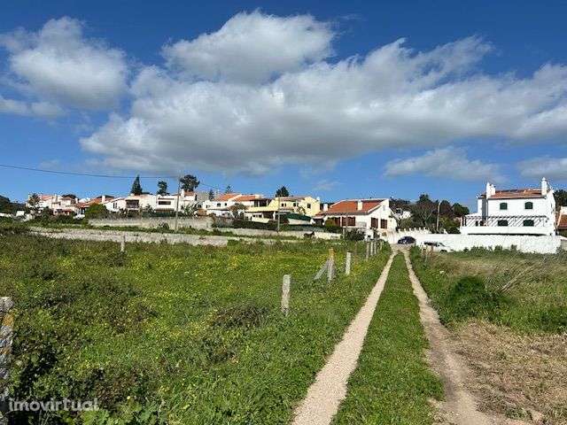 Herdade Das Machadas de - Grande imagem: 3/24