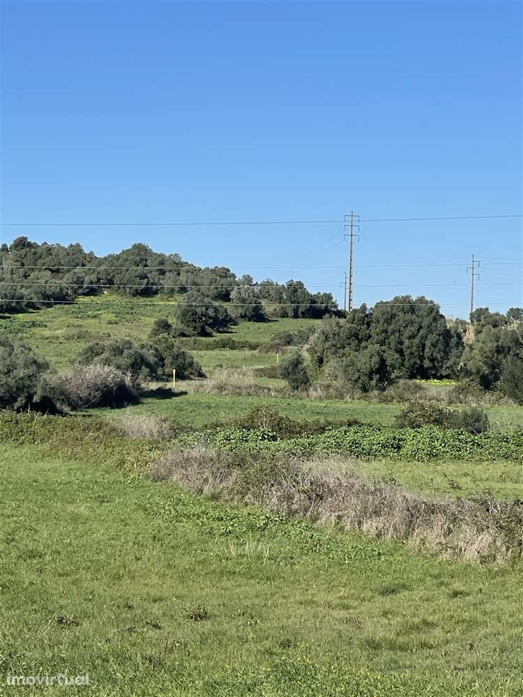 Terreno Rústico  Venda em Almargem do Bispo, Pêro Pinheiro e Montelava - Grande imagem: 5/18