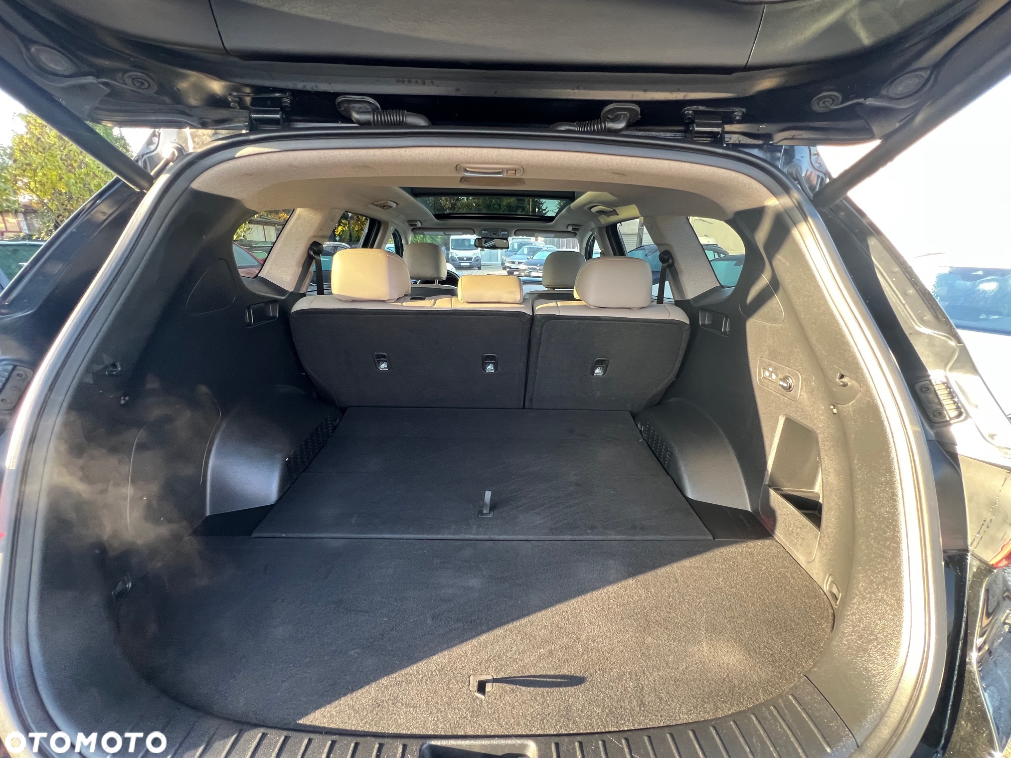 Hyundai Santa Fe - 19