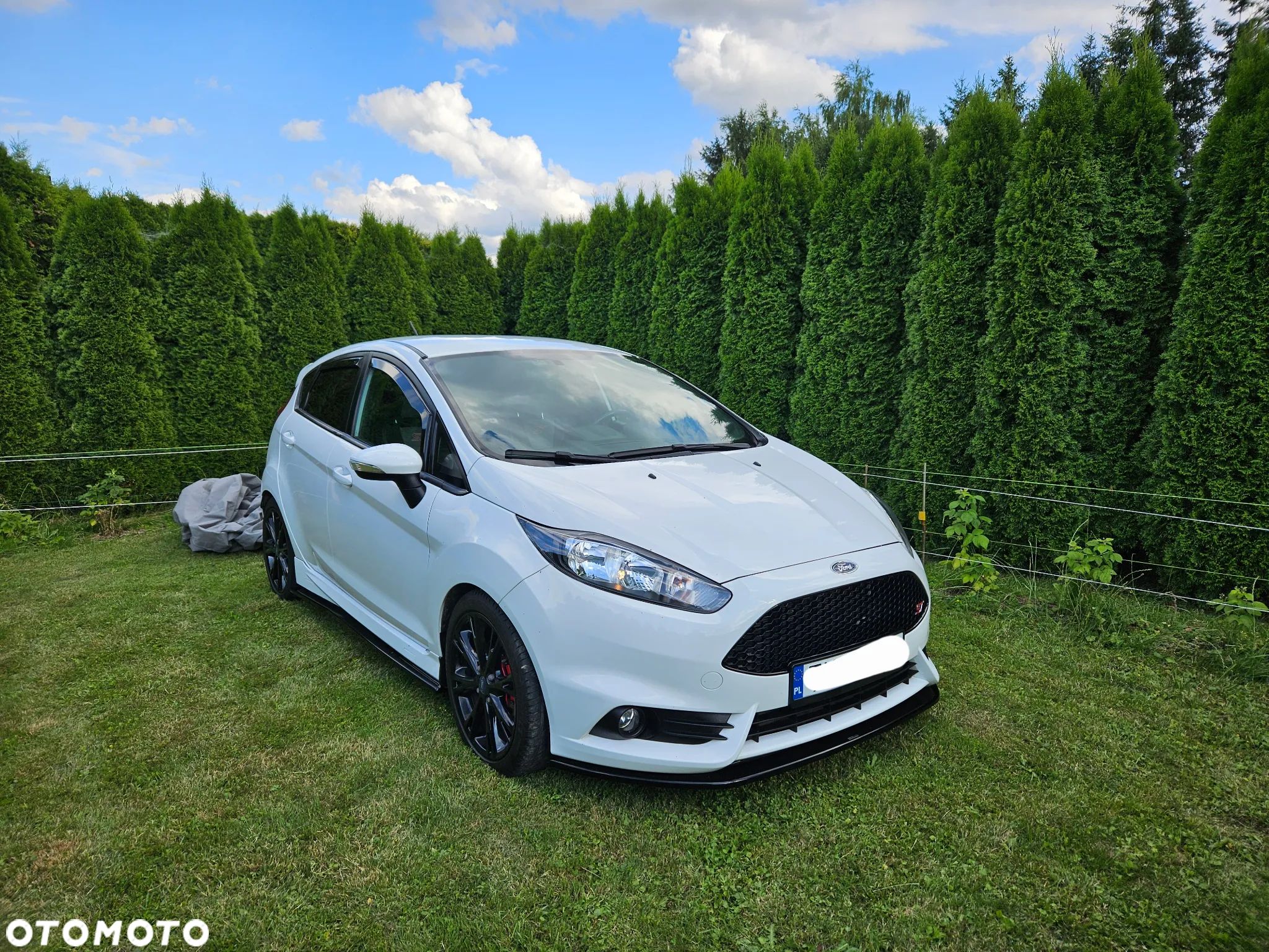 Ford Fiesta 1.6 EcoBoost ST - 1