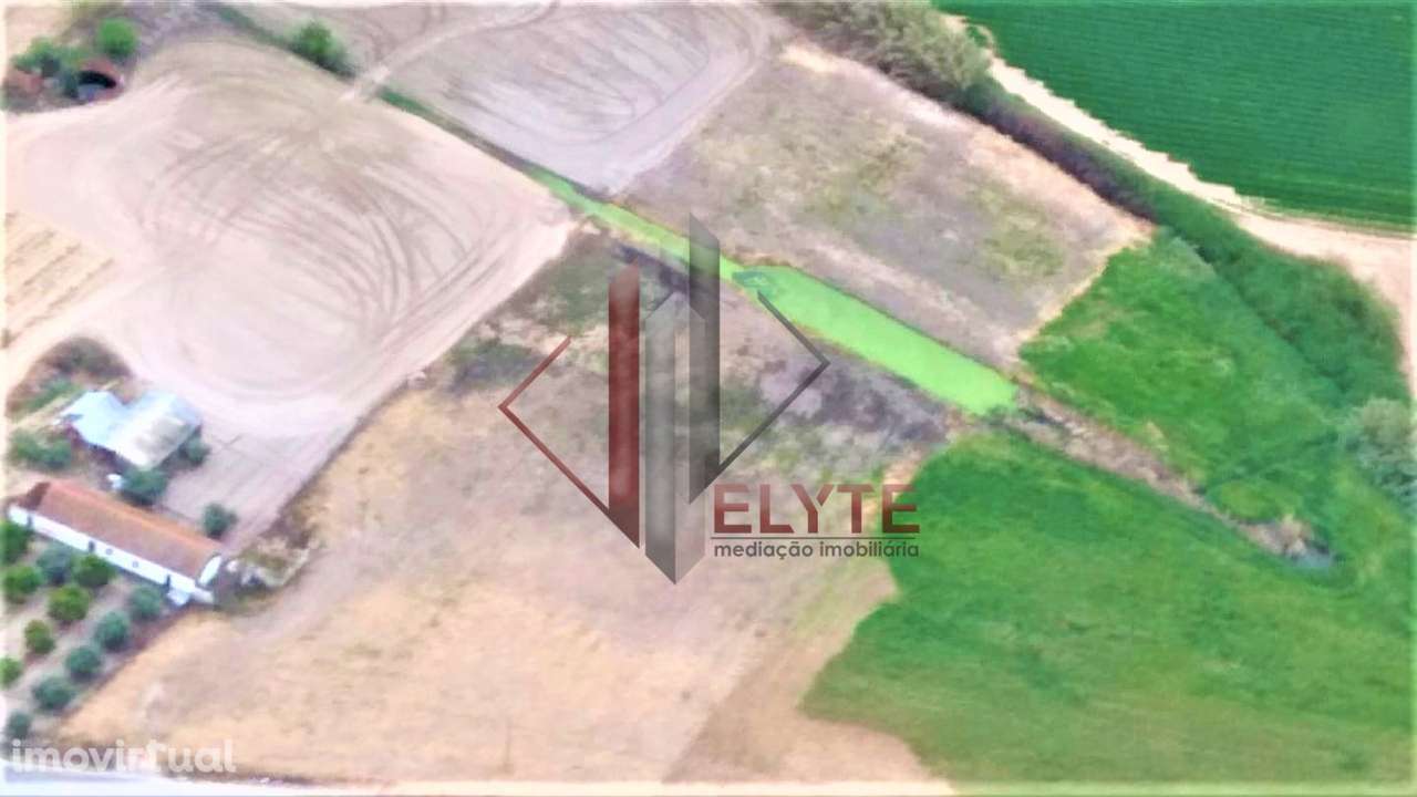 terreno Foros Salvaterra - Grande imagem: 4/7