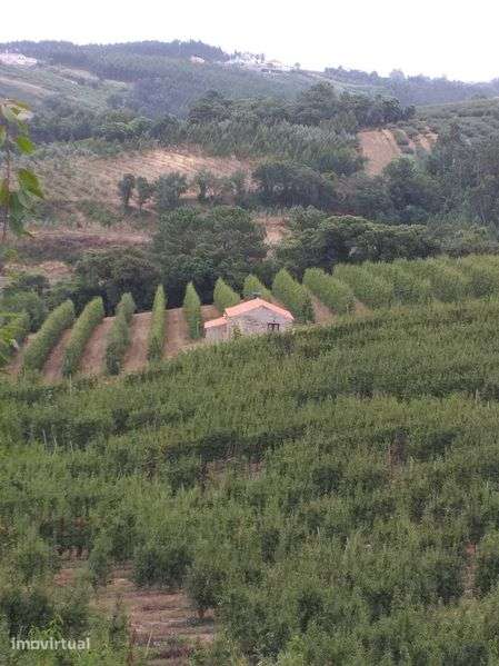 Moradia no meio da natureza,  House in the middle of nature – Óbidos - Grande imagem: 5/12