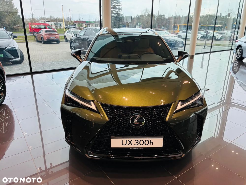 Lexus UX 300h F Sport Design - 9