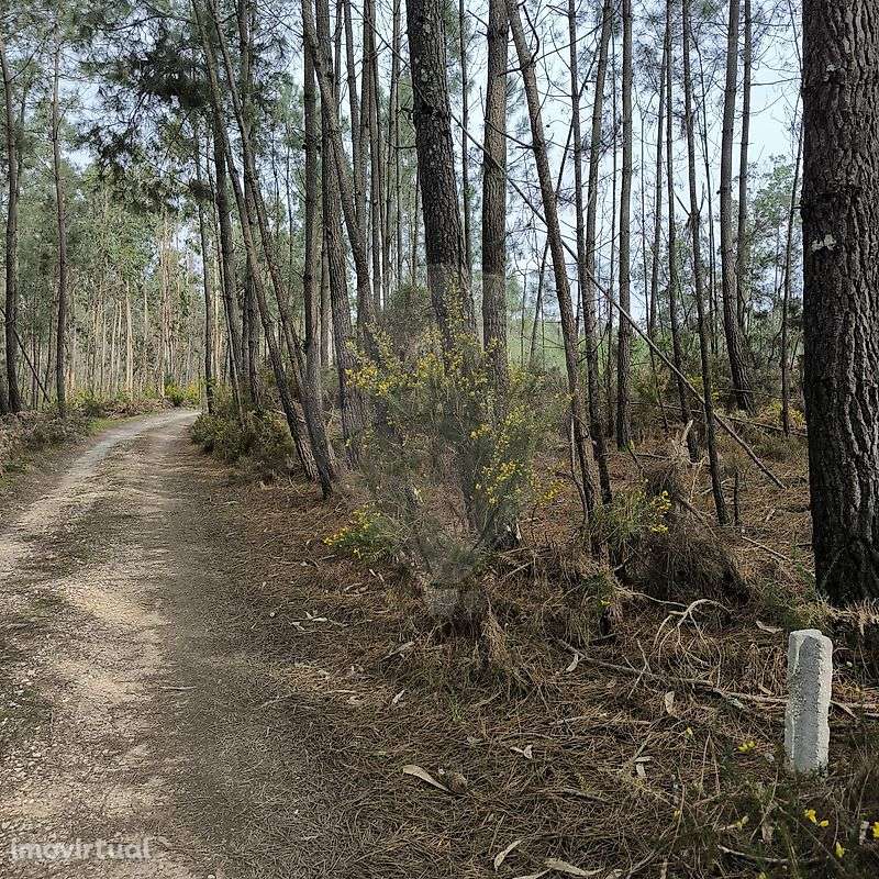 Terreno  para venda - Grande imagem: 2/5