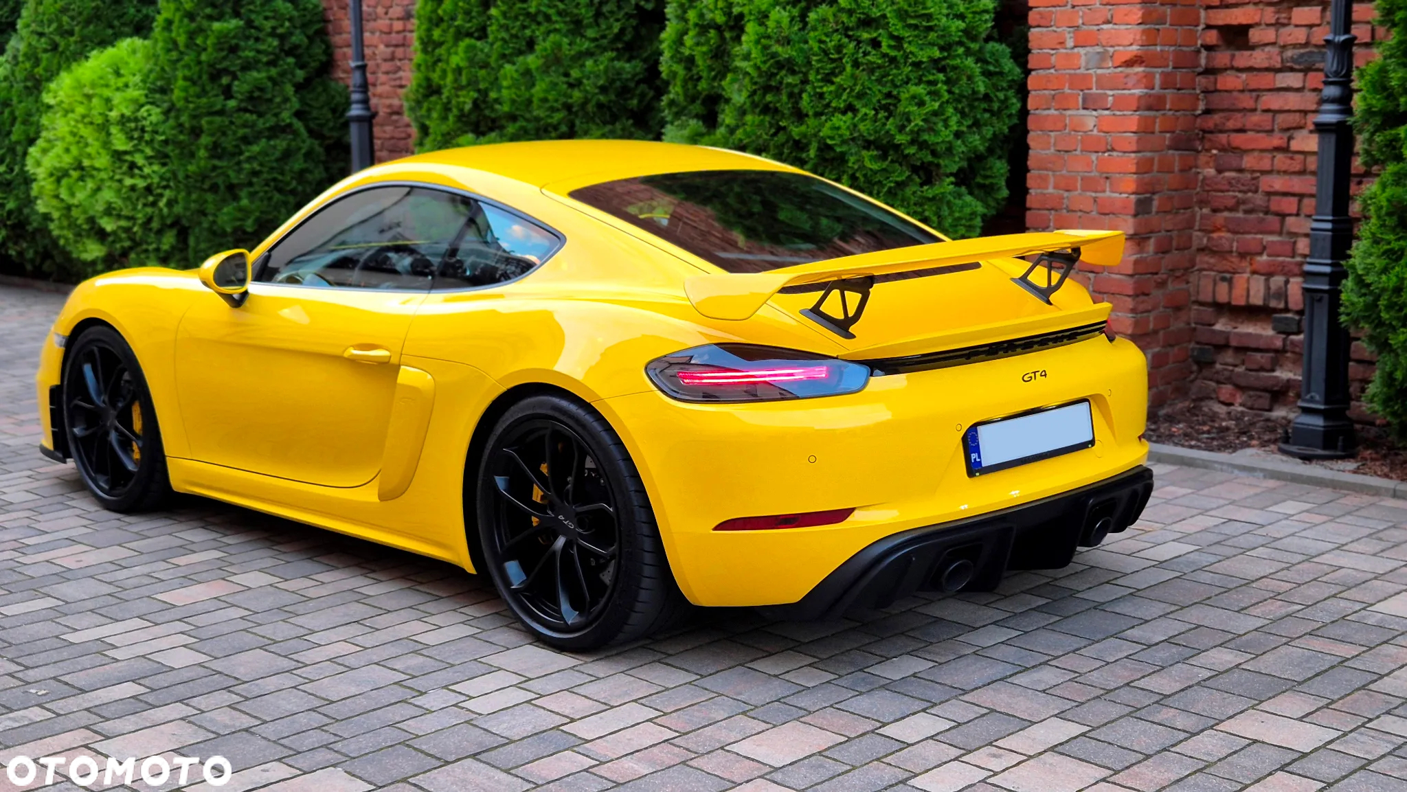 Porsche 718 Cayman GPF GT4 - 4