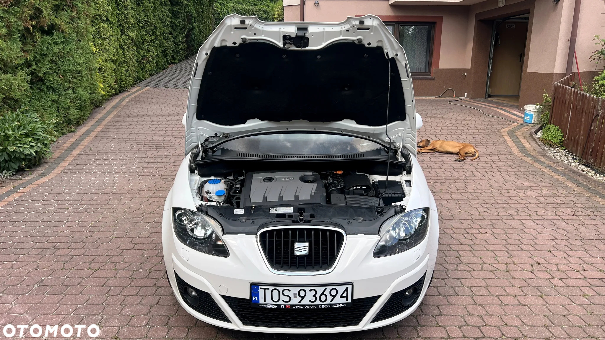 Seat Altea XL 1.6 TDI DPF CR Reference Copa - 33