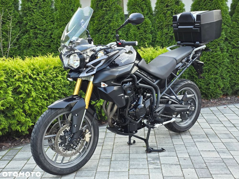 Triumph Tiger - 23
