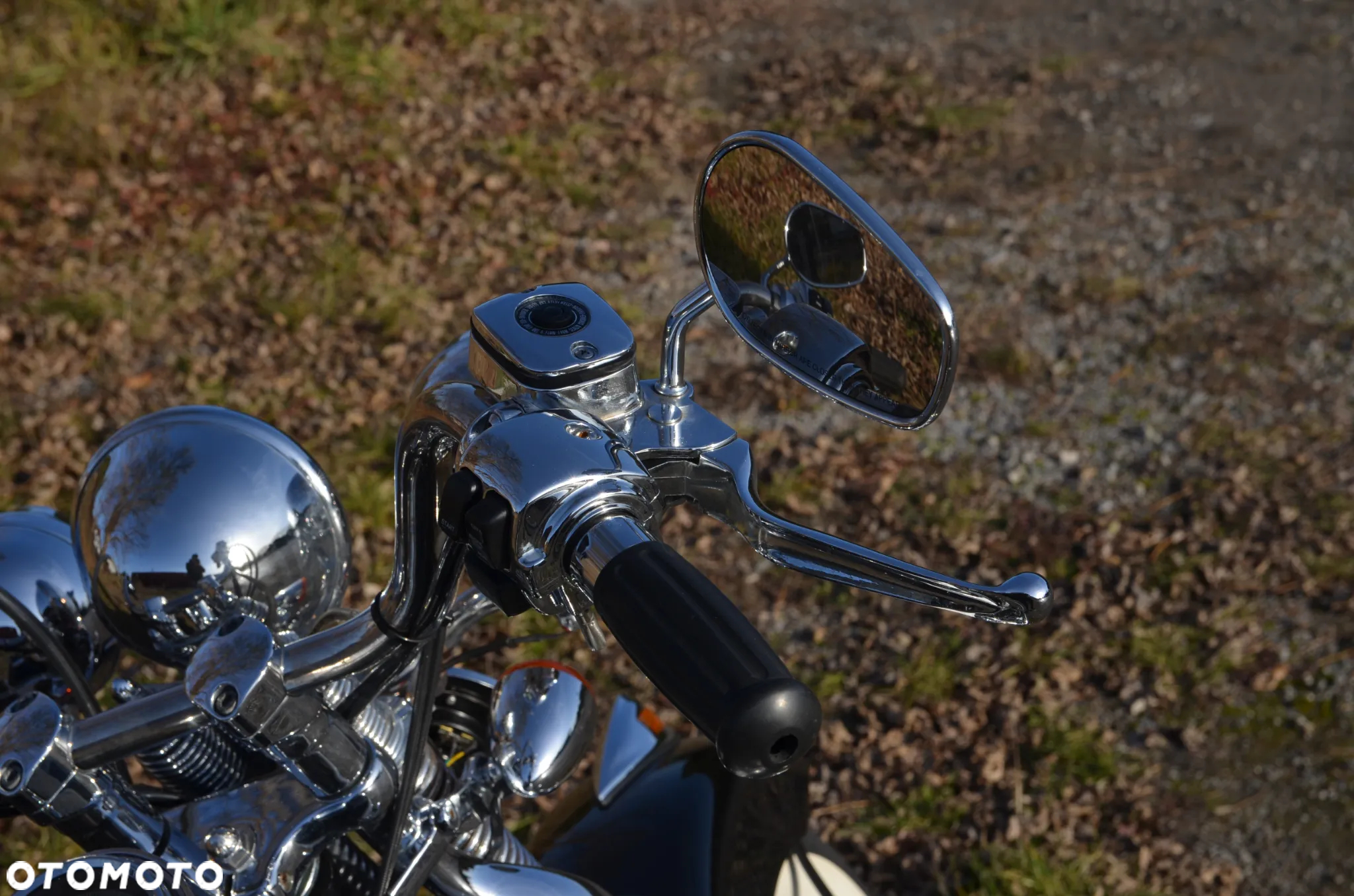 Harley-Davidson Softail Springer Classic - 22