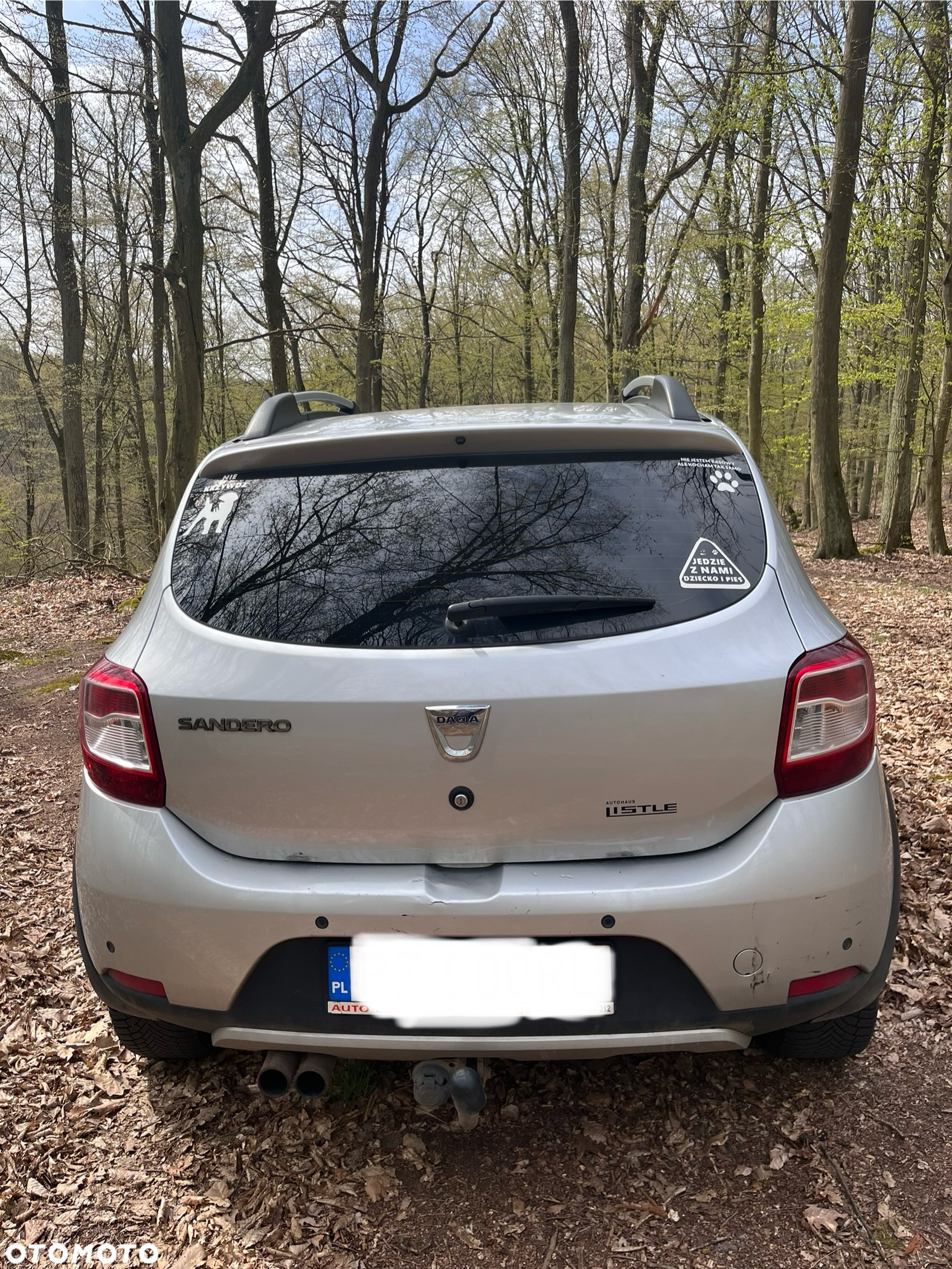 Dacia Sandero - 10