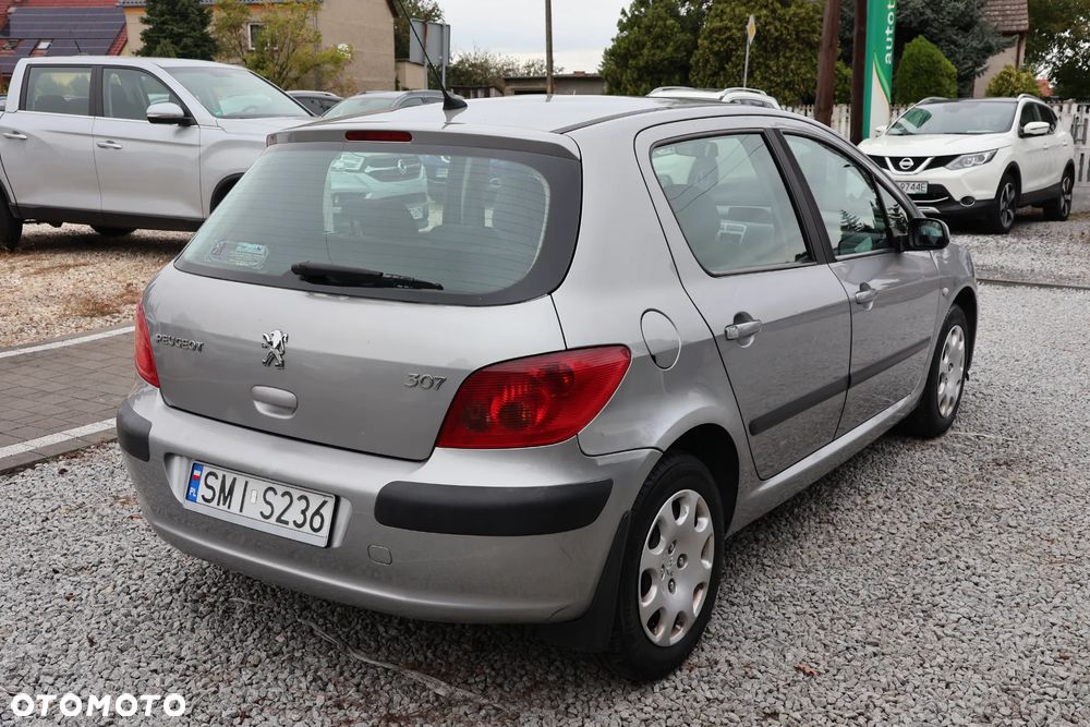 Peugeot 307 1.4 Mistral - 3