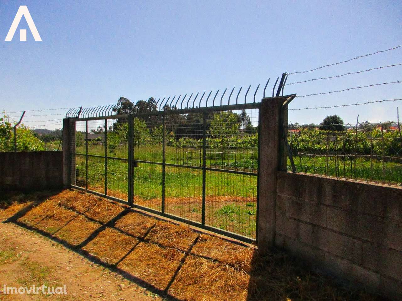 Terreno construção em V.F.S. Pedro - Grande imagem: 4/6