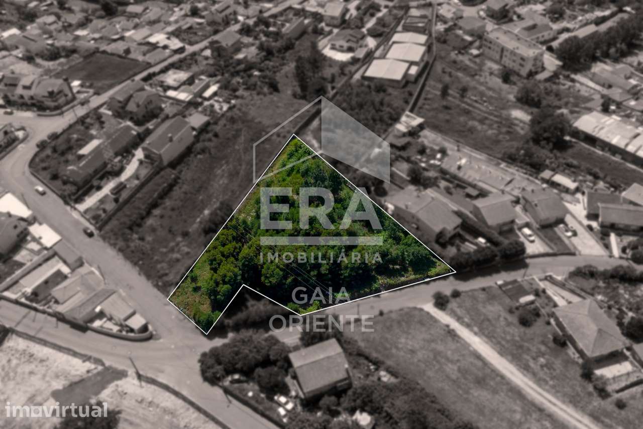 Terreno com Potencial Urbano em Olival - Grande imagem: 3/5