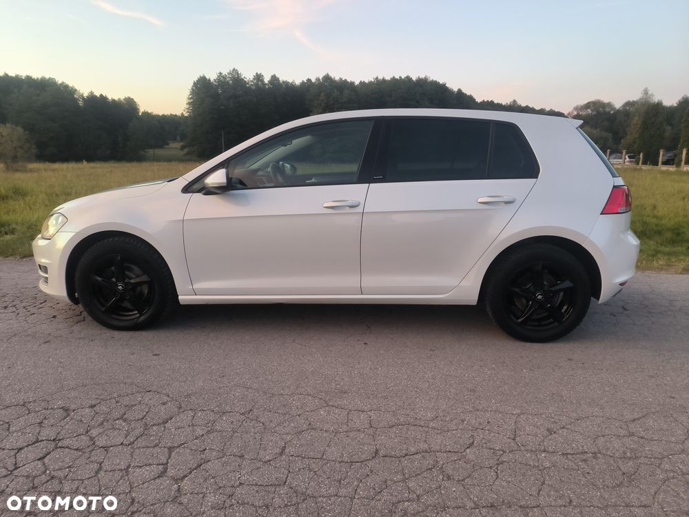 Volkswagen Golf 1.6 TDI BlueMotion Technology DSG Allstar - 3