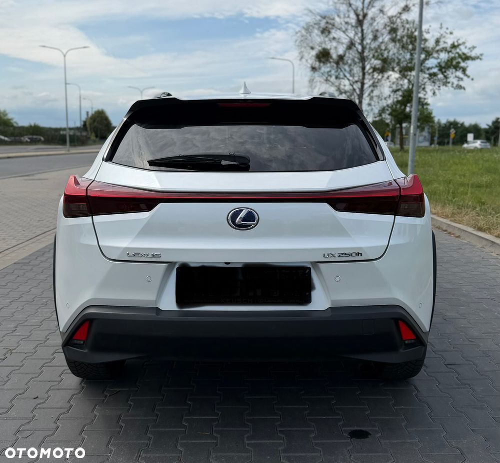 Lexus UX 250h GPF Prestige 2WD - 6