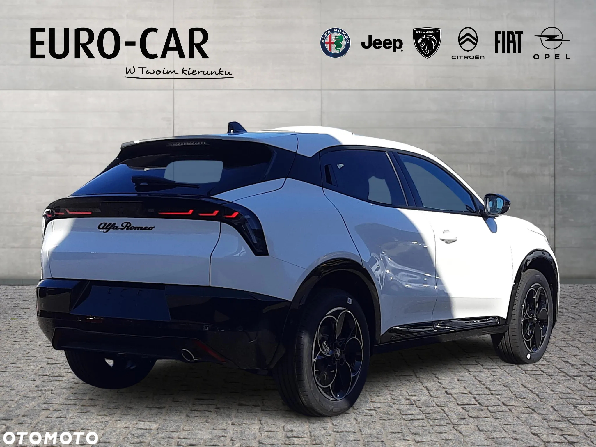 Alfa Romeo Junior - 6