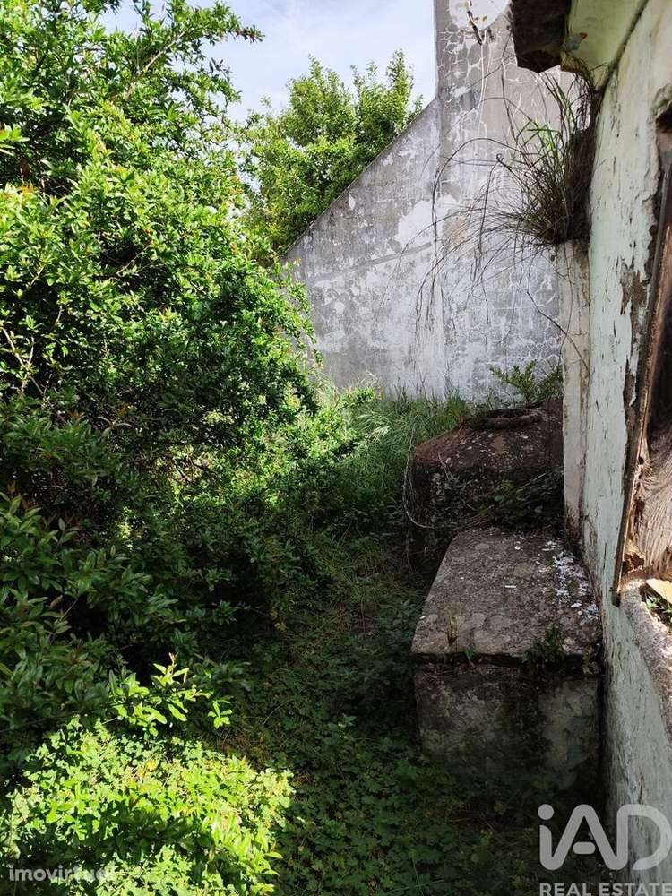 Prédio em Sousel de 276 m2 - Grande imagem: 5/5