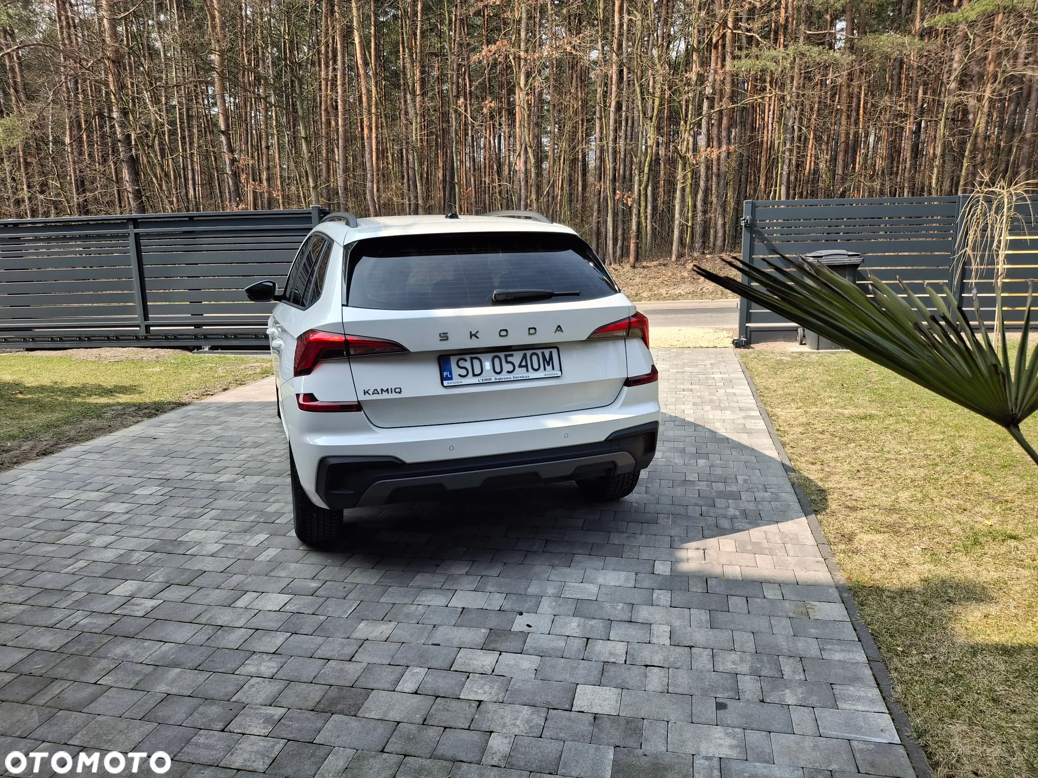 Skoda Kamiq 1.0 TSI Selection - 3