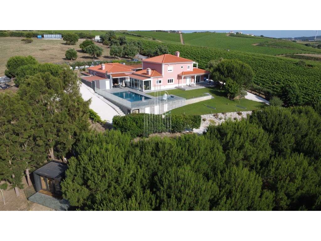 Oportunidade de Investimento: Quinta Vinícola de Luxo com Projeto d... - Grande imagem: 4/60