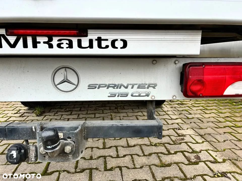 Mercedes-Benz 319 - 6