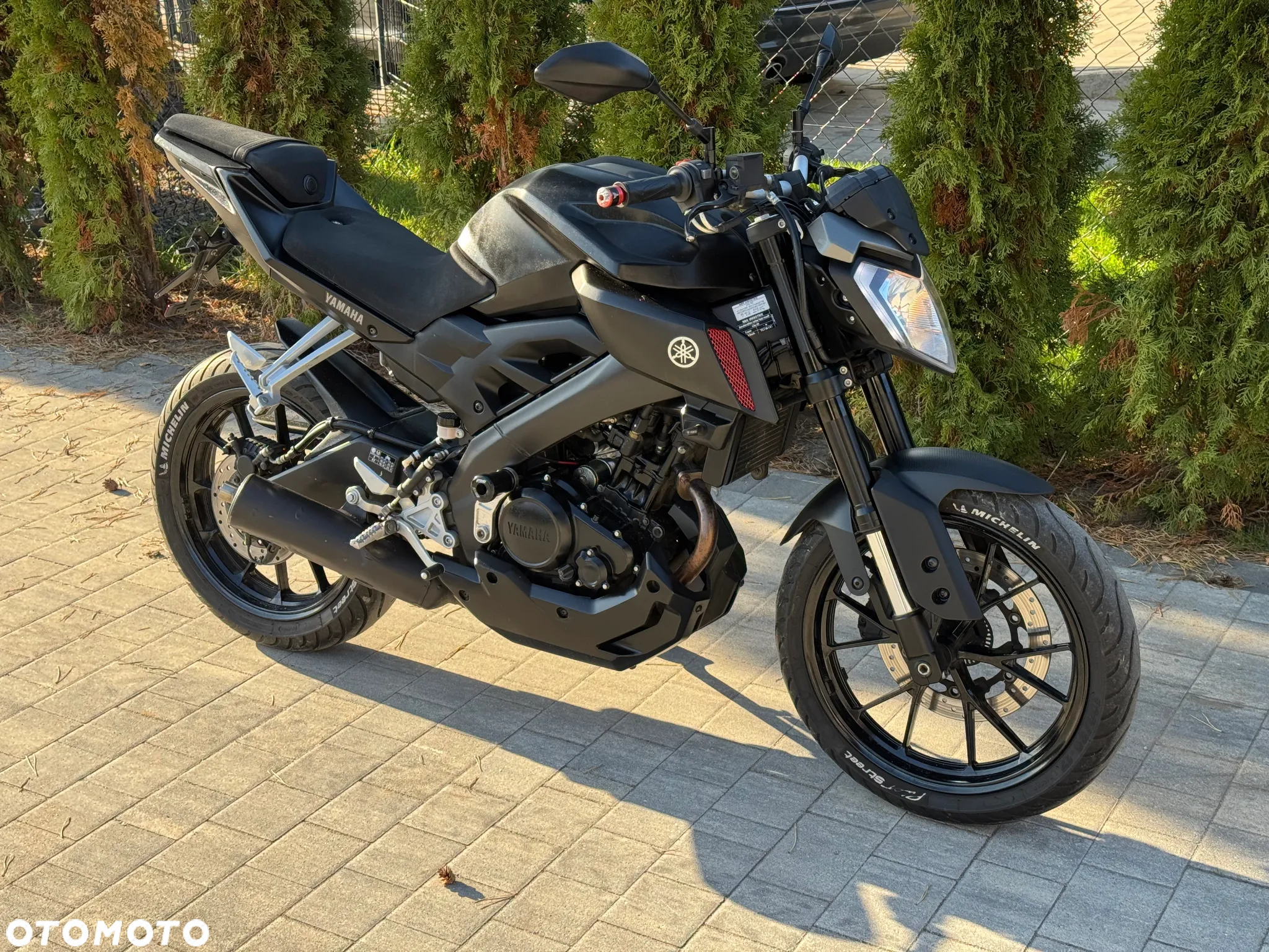 Yamaha MT - 21