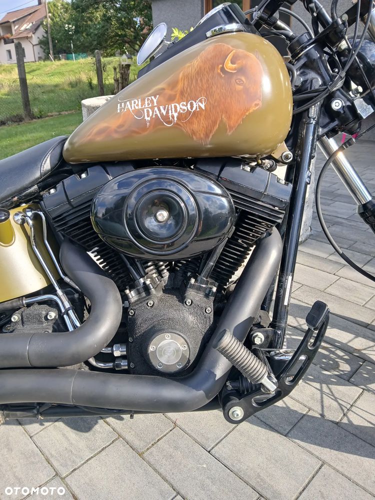 Harley-Davidson Softail - 4