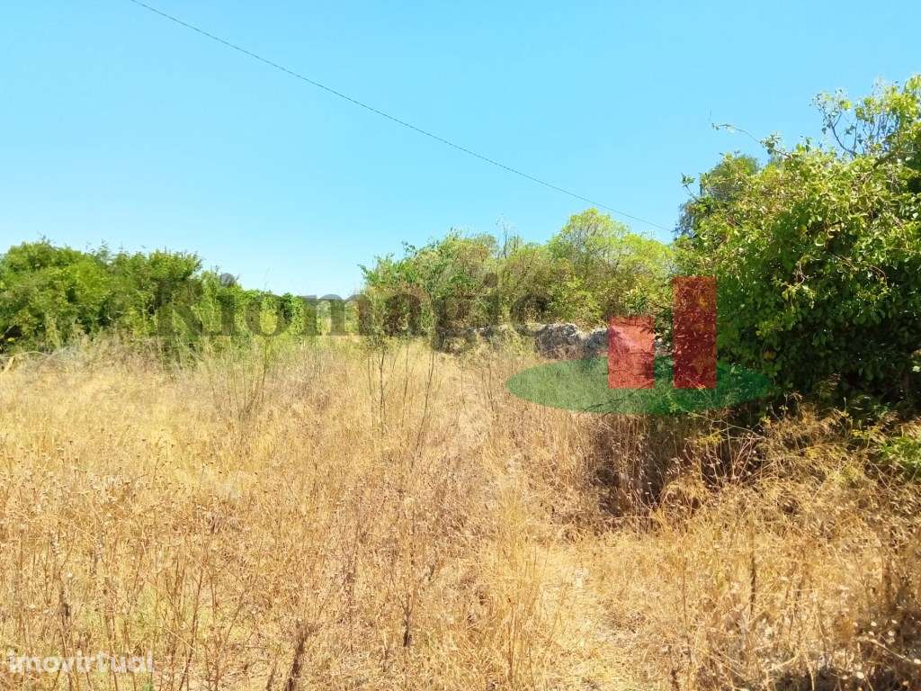 Moradia T2 em Ruina - Malaqueijo***RIOMAGIC*** - Grande imagem: 5/8