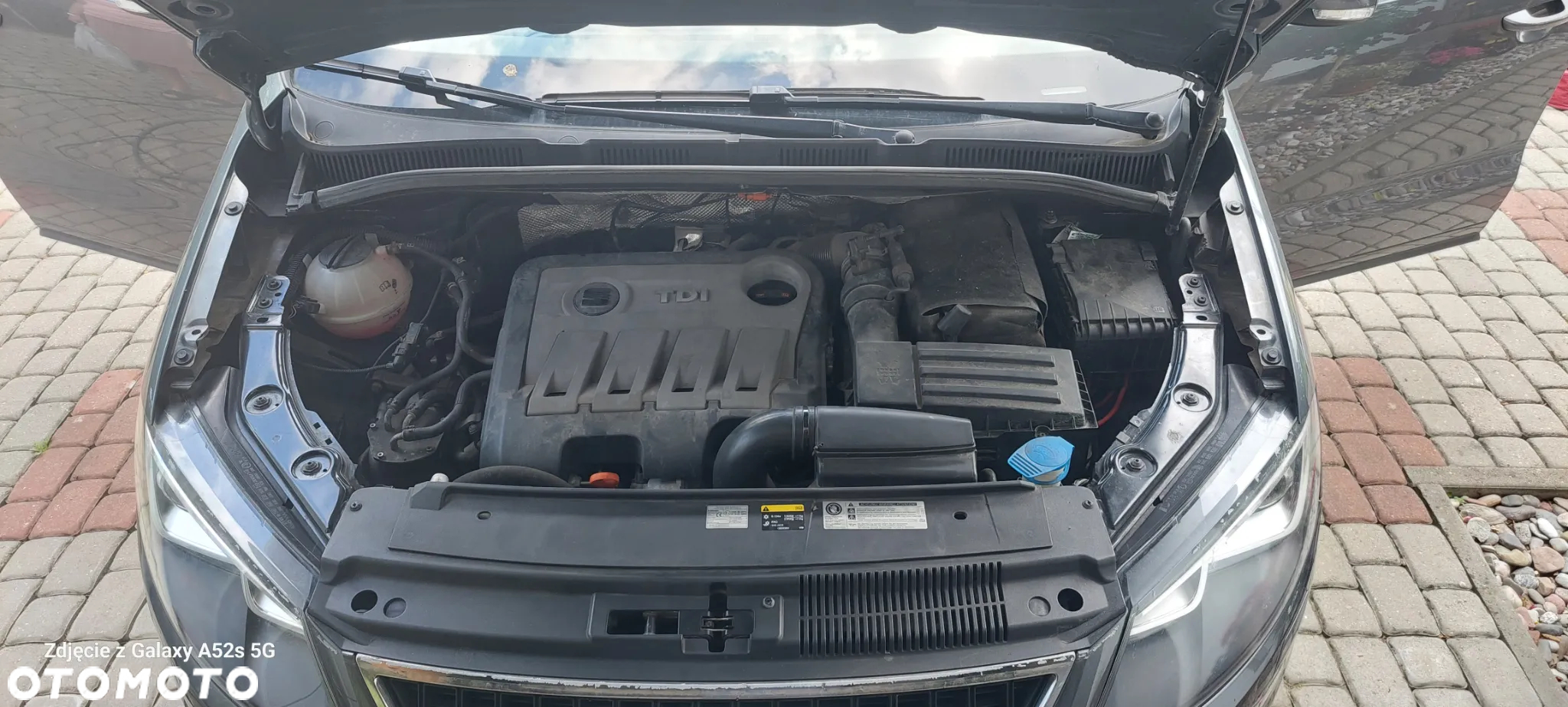 Seat Alhambra - 14