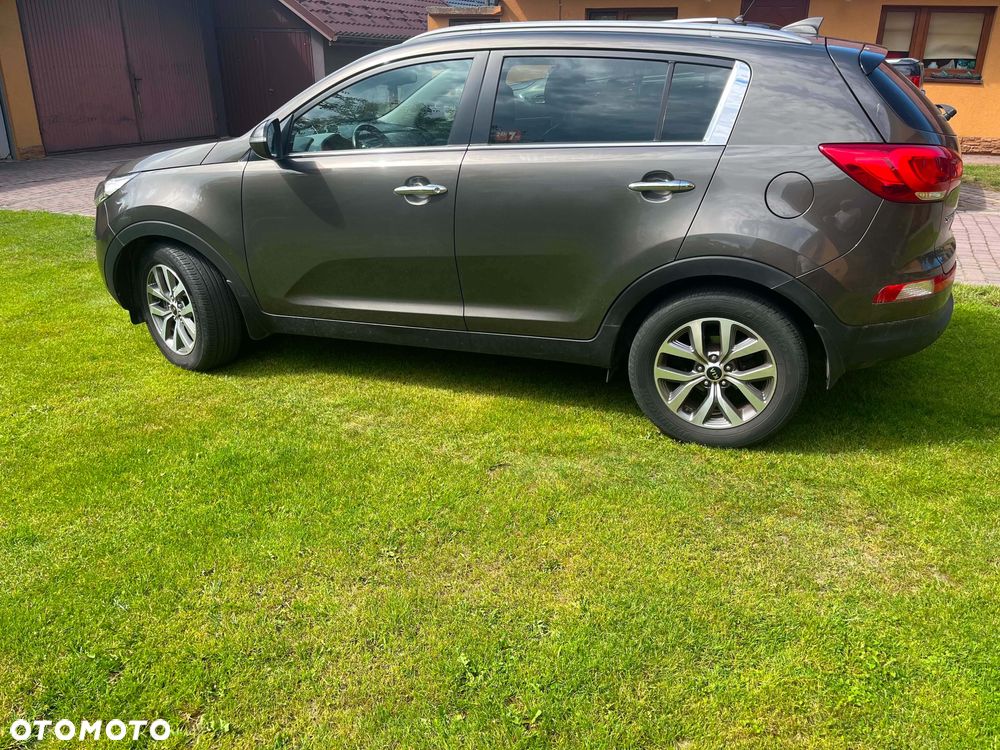 Kia Sportage - 3