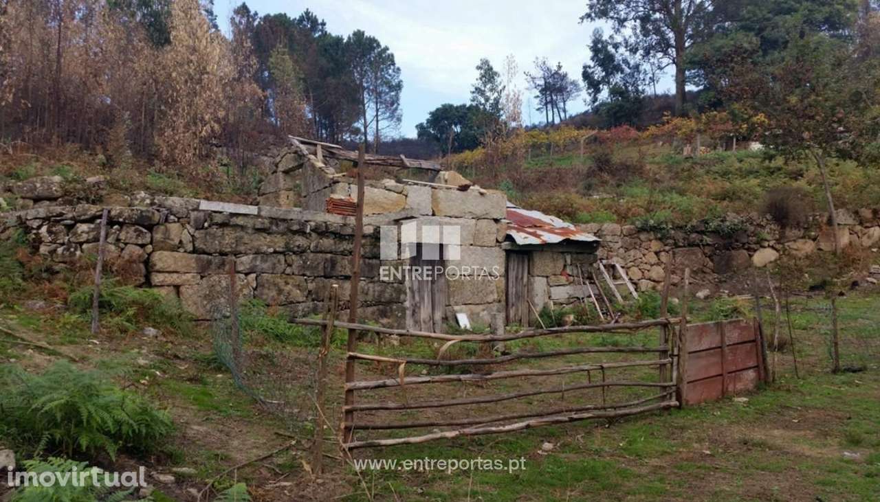 Venda Quinta, Penhalonga, Marco de Canaveses - Grande imagem: 2/13