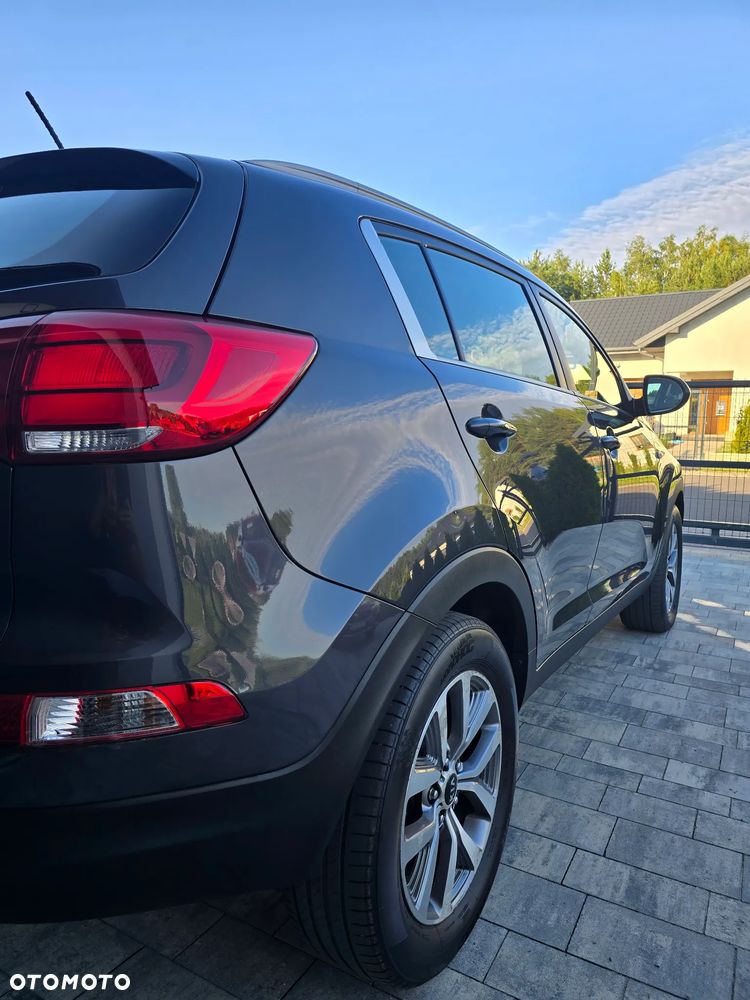 Kia Sportage - 17