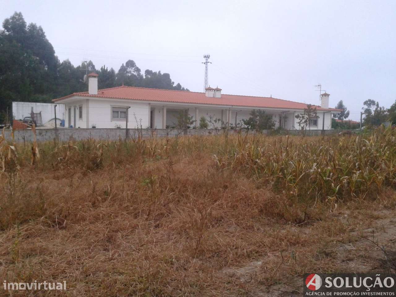 Lote de Terreno P/ Construção - Grande imagem: 3/4
