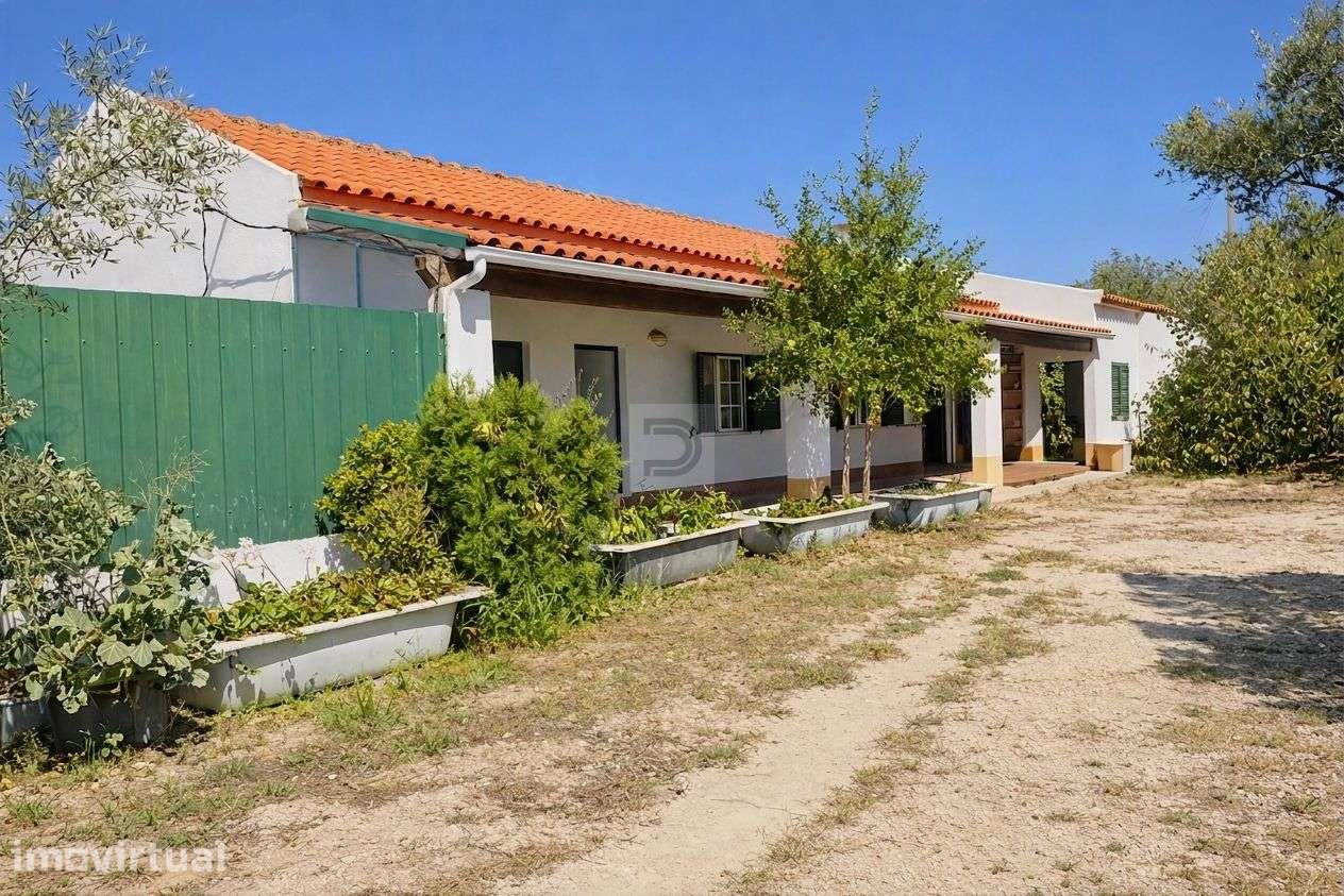 Quinta T6 com 11.000 m², Piscina e Pomar | Pegões - Grande imagem: 4/20