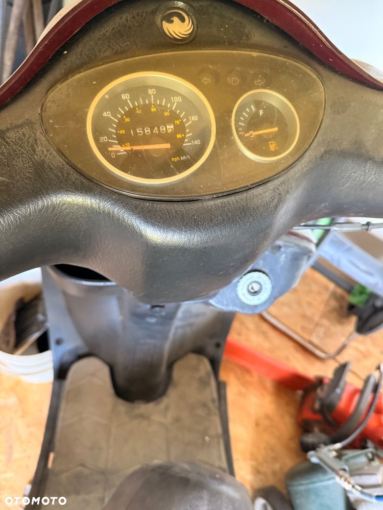 Sachs B - 2