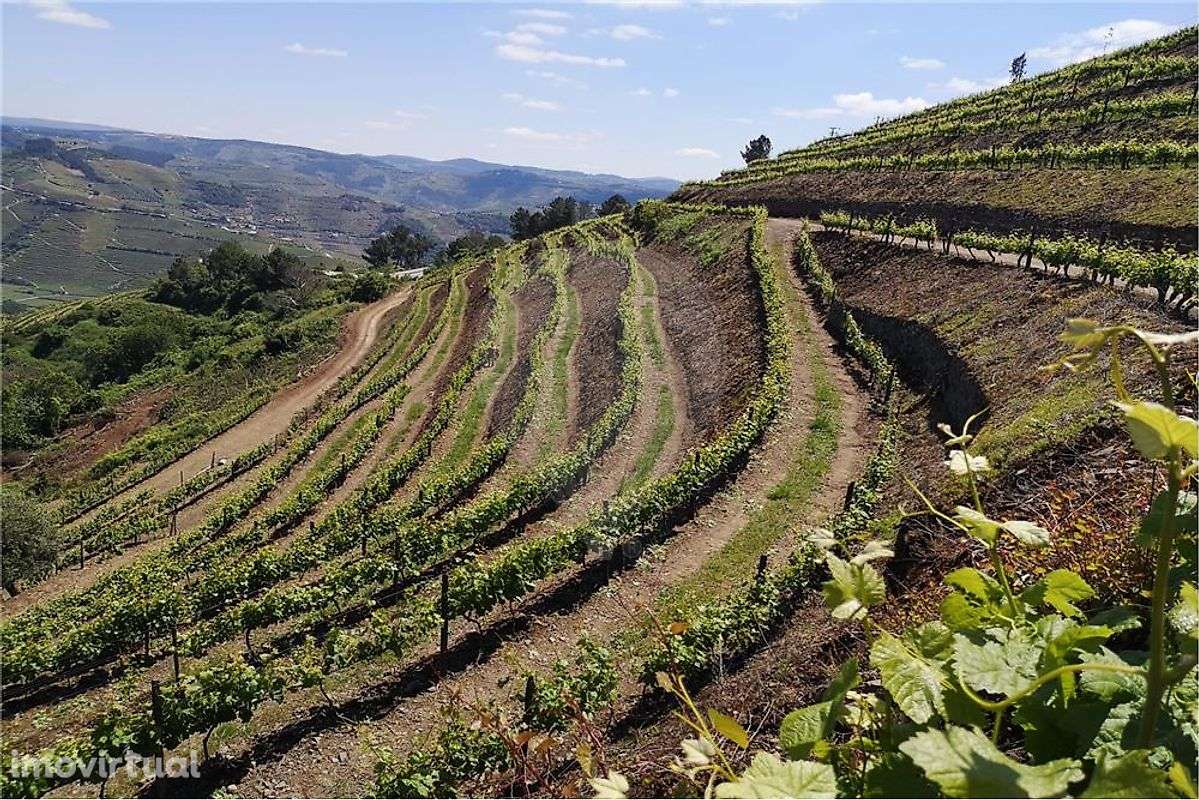 Terreno  para venda - Grande imagem: 5/27