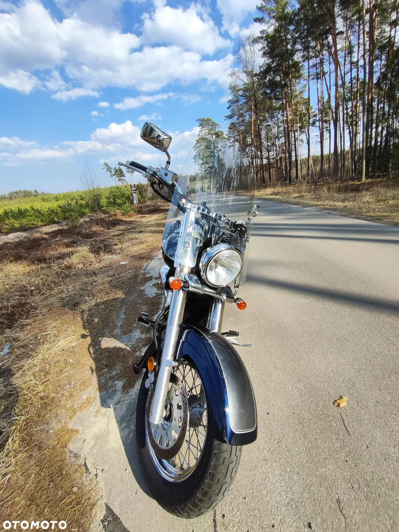 Suzuki VL 800 Volusia - 7
