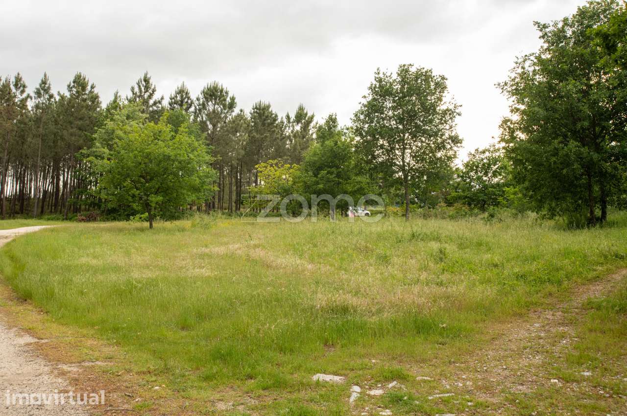 Terreno com 7.293 m² Indústria e Comércio – EN17 – Santiago Seia... - Grande imagem: 4/15