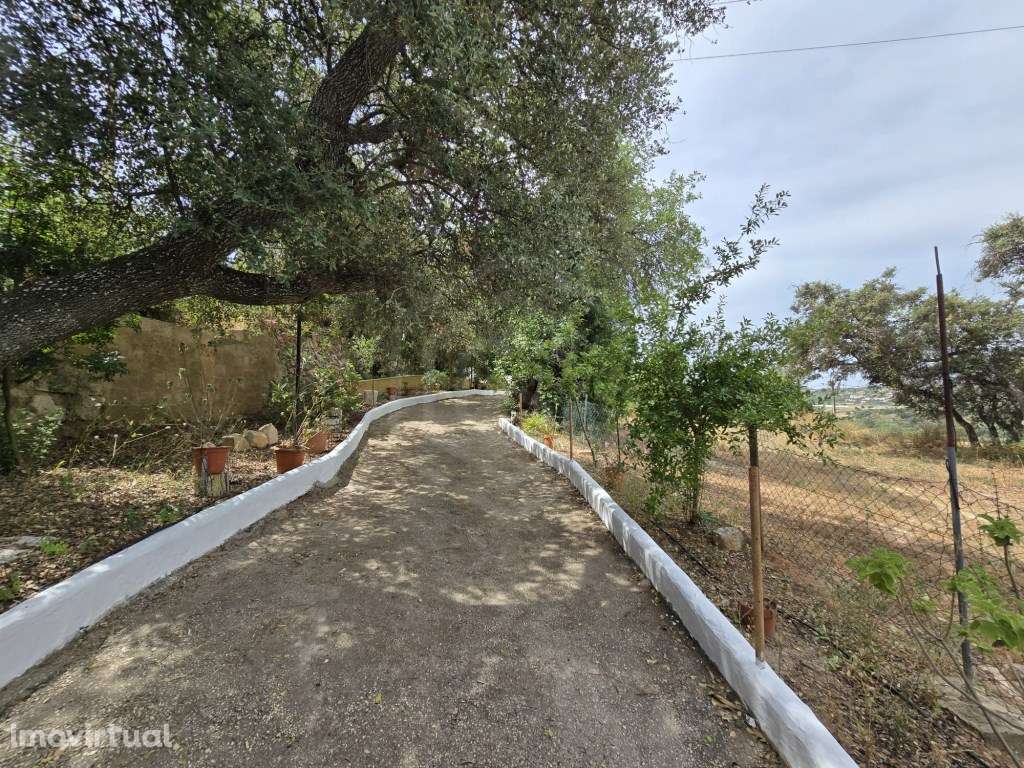Quinta com habitação, Paderne, Albufeira, Algarve - Grande imagem: 3/24